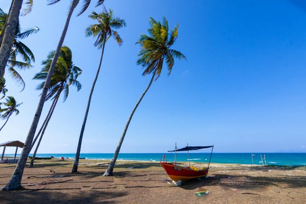 Location d'utilitaire à Villeurbanne : qualité et économies assurées !