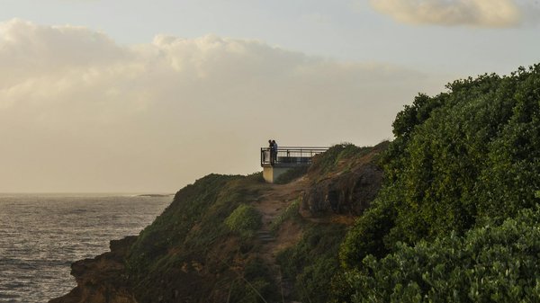Découverte Gourmande à Travers le Temps : Origines et Transformations du Tourisme Gastronomique