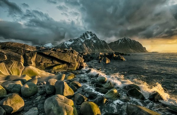 Vivre l'immersion animale : séjourner dans un hôtel proche du zoo de la flèche